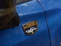   : Subaru    Forester Wilderness